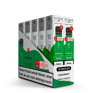 AUTO-DRAFT_elfbar spearmint st multi verpackung 20mg 600x600