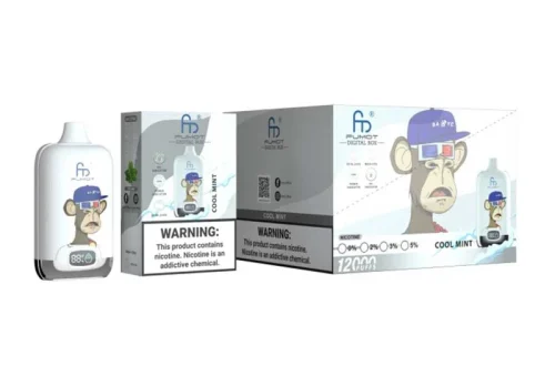 Úvod do E-Cigarettes_Fumot Randm Digital Box 12000 10Ks 01