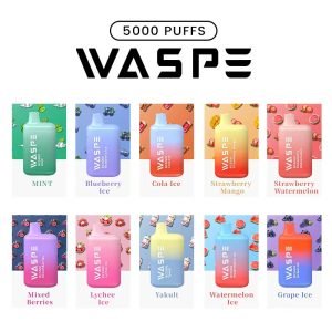 WASPEPE 5000 „Puffs E-Cigarete Watermelon Ice Duty Free Factory“ tiesioginis pardavimas už neprilygstamą rūkymo patirtį WASPE 5000 Puffs E-Zigarette Watermelon Ice Duty Free Direktverkauf ab Werk für ein unvergleichliches Raucherlebnis_3