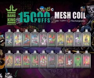 BANG KING Digital 15000 Puffs Einweg E-Zigarette mit intensiven Triple Fruit Aromen – Das perfekte Accessoire für Ihr Dampferlebnis_1