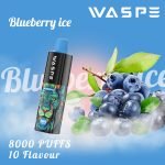 Blueberry Ice E-Zigarette Genéisst de frësche Goût zu Grousshandel Präis a Steier fräi Ideal fir all vapers WASPE 8000 Puffs_Blueberry Ice