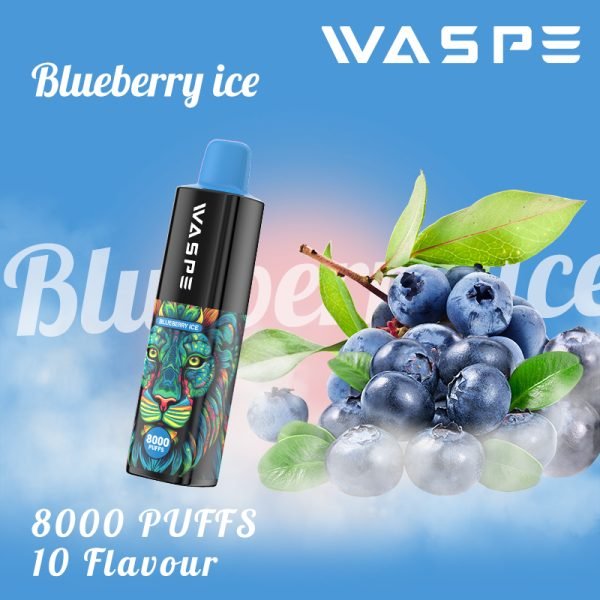 Blueberry Ice E-Zigarette Genießen Sie den frischen Geschmack zum Großhandelspreis und steuerfrei Ideal für alle Dampfer WASPE 8000 Puffs_Blueberry Ice