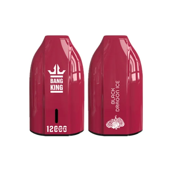 Bang King 12000 Puffs Key Type Einweg E-Zigarette Black Dragon Ice Großhandelspreis der perfekte Begleiter für jeden Tag_BLACK DRAGON ICE