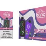 Contrôle de tension et grand écran Bang King 36000 Commandez maintenant la e-cigarette jetable Puffs Black Dragon Ice, un plaisir de vapeur premium (copie)_Glace aux raisins