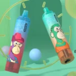 15000 Züge Vape Die perfekte Kombination aus Umweltfreundlichkeit und Nachhaltigkeit_randm 15000 vape