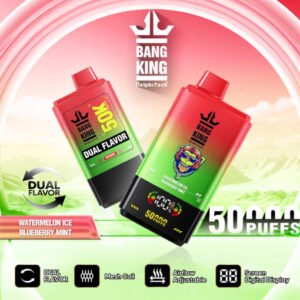 Bang King Vape 50000 Trains très longs plaisir, Strong Taste_Bang50K Pontme de la pastèque et menthe aux myrtilles