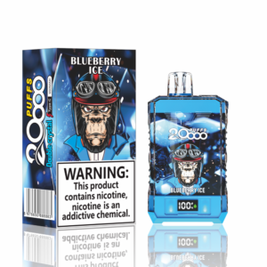 Rei Bang 25000 Puffs Tela Grande B25 Vape Blueberry Mint Acabamento de alta qualidade e sabor incomparável para você (cópia)_Gelo de mirtilo