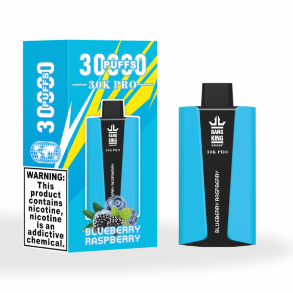 Bang King 25000 Puffs Large Screen B25 Vape Blueberry Mint Hochwertige Verarbeitung und unvergleichlicher Geschmack für Sie (复制)_blueberry raspberry