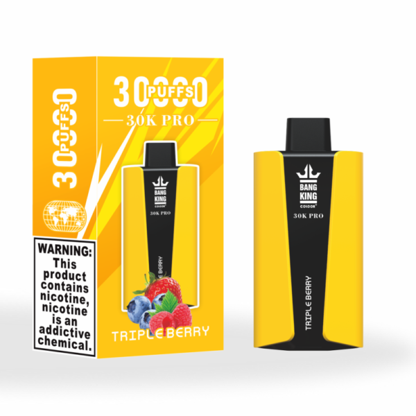 Bang King 25000 Puffs Large Screen B25 Vape Blueberry Mint Hochwertige Verarbeitung und unvergleichlicher Geschmack für Sie (复制)_triple berry