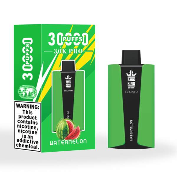Bang King 25000 Puffs Large Screen B25 Vape Blueberry Mint Hochwertige Verarbeitung und unvergleichlicher Geschmack für Sie (复制)_watermelon