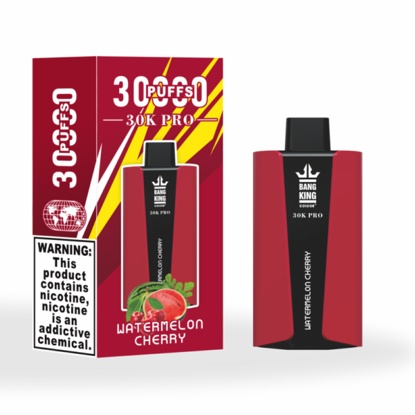 Bang King 25000 Puffs Large Screen B25 Vape Blueberry Mint Hochwertige Verarbeitung und unvergleichlicher Geschmack für Sie (复制)_watermelon cherry